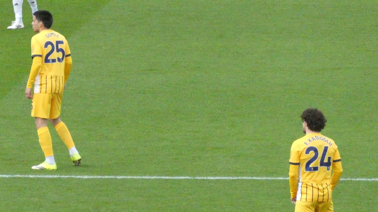 دييغو غوميز لاعب برايتون داخل الملعب